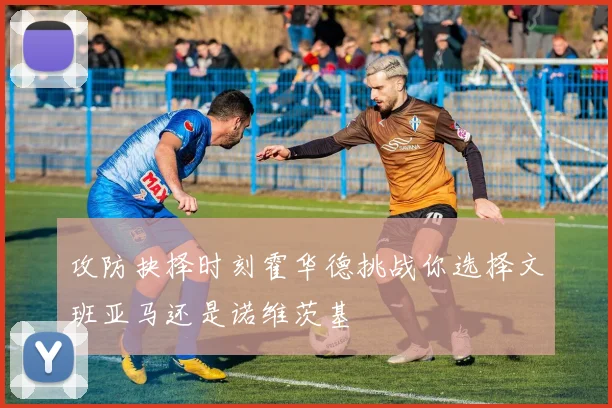 攻防抉择时刻霍华德挑战你选择文班亚马还是诺维茨基